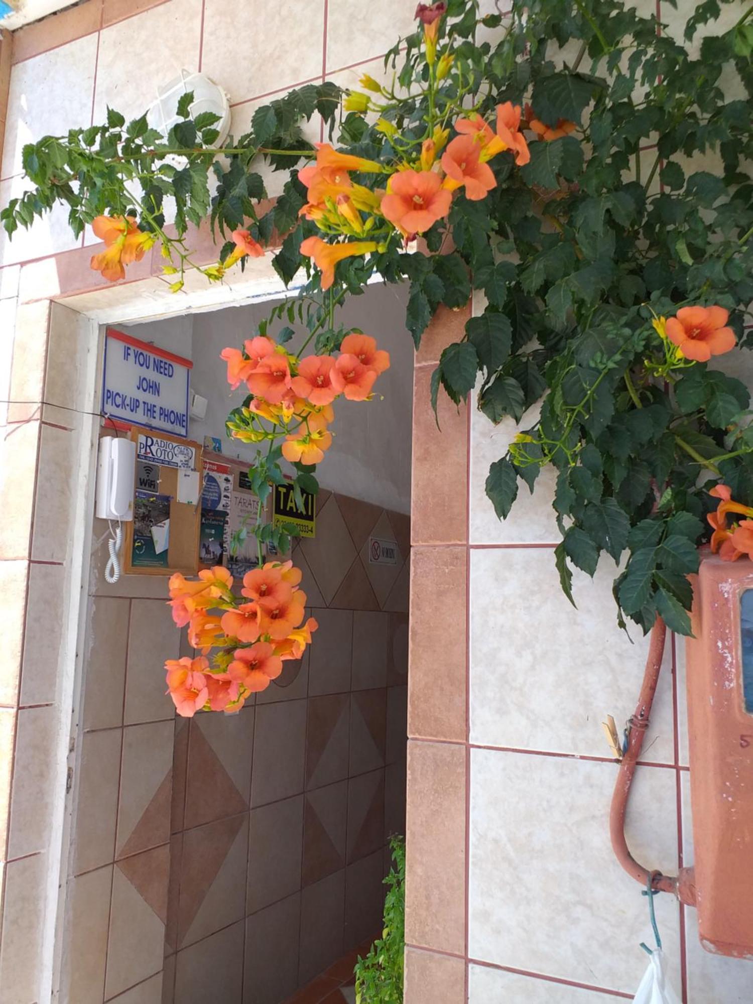 Ladikos Beach Hotel Kardamena  Екстер'єр фото